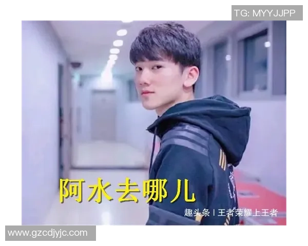 王者荣耀深度:解密FPX的盯防