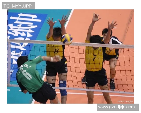 聚焦排球：重庆排球队的团队协作话题